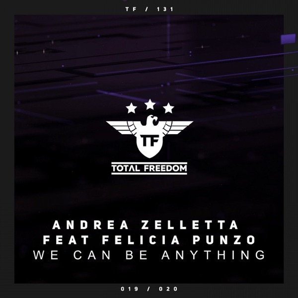 We Can Be Anything (feat. Felicia Punzo) - Single album artwork